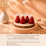 ChatGPT Image 22_48_27 12 thg 8, 2026 (1).webp