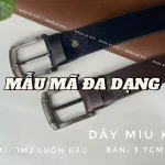 Untitled image (2).webp