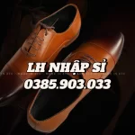 Untitled image (4).webp