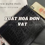 Untitled image (3).webp