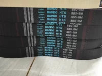 z3893202341345_4c04d534e4f3fcf04de0c8d2e97bb1a3.webp